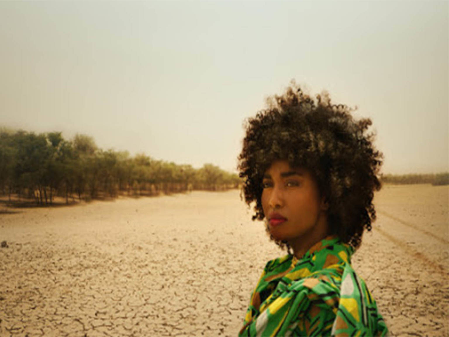 The Great Green Wall Filme für die Erde