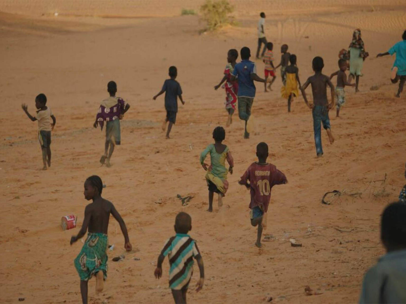 The Great Green Wall Filme für die Erde